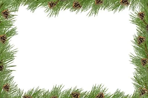 A frame of pine branches with small cones on a white background. Stock Photos