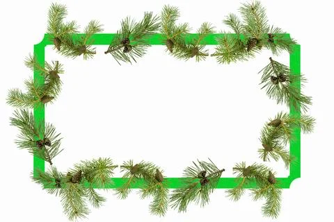 A frame of pine branches with small cones on a white background. Stock Photos