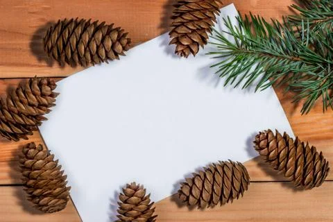 Frame of pine cones with space for text Stock Photos