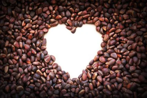 Frame of pine nuts in the form of heart Foto stock