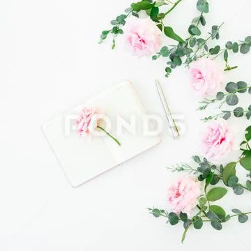 Frame of pink roses flowers and eucalyptus with diary and pen on white backgr Stock Photos