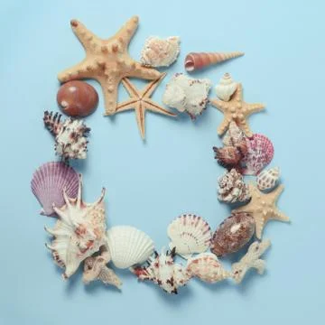 Frame of Plenty different seashells on a blue background. Seaside themed Stock Photos