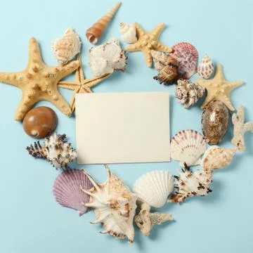 Frame of Plenty different seashells on a blue background. Seaside themed Stock Photos