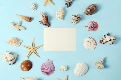 Frame of Plenty different seashells on a blue background. Seaside themed Stock Photos