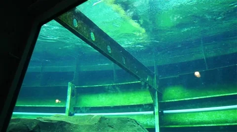 The frame of the pool underwater Stock Footage 55186165