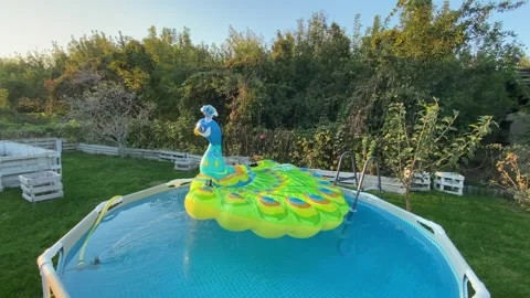 A frame pool with water and an inflatable peacock floats. Stock Footage 303915813