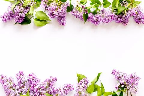 Frame of purple flowers - spring lilac branches with space for text Stock Photos