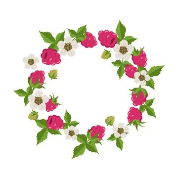 Frame with raspberries Stock Illustration