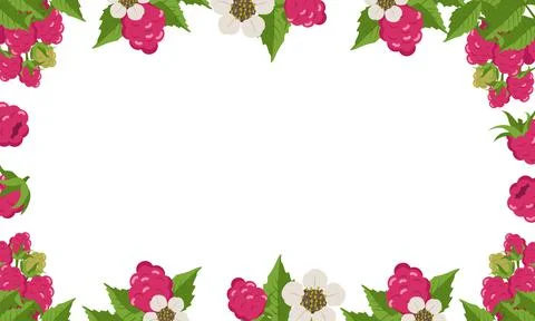 Frame with raspberries Stock Illustration