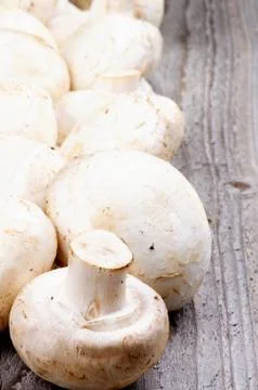 Frame of raw champignons Stock Photos