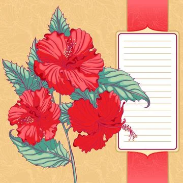 Frame with red hibiscus Stock Illustration