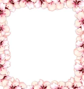 Frame restangle blossoming sakura or cherry red flowers Stock Illustration