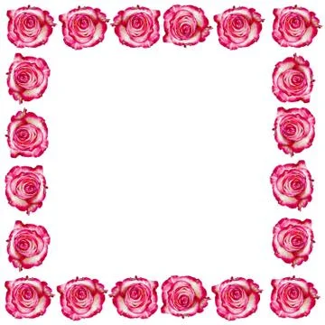 Frame from roses イラスト素材