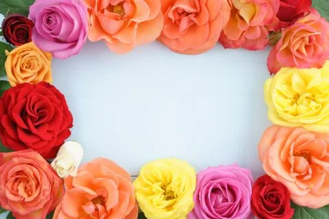 Frame of roses Stock Photos