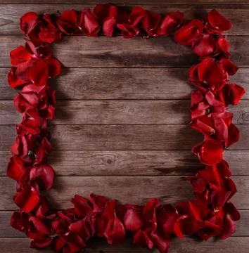 Frame of roses Stock Photos