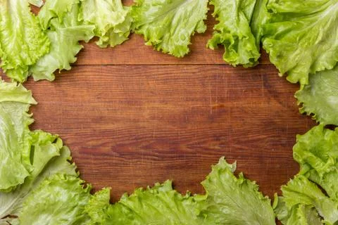 Frame of salad Stock Photos