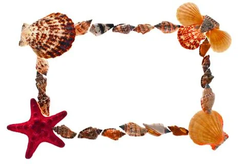 Frame of sea shells. Stock Photos