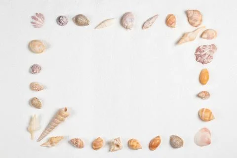 Frame of sea shells on sandy beach. 스톡 사진