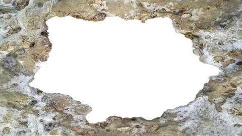 Frame with seashell texture borders looped animated video Stock Footage 318303305