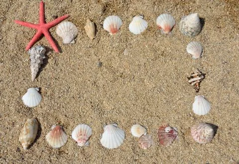 Frame of Seashells Stock Photos