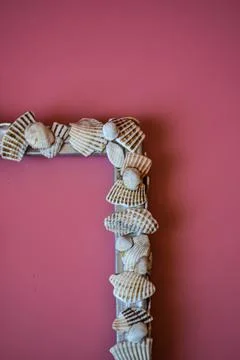 Frame with seashells on pink background Stock Photos