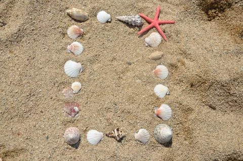 Frame of Seashells on Sand Stock Photos