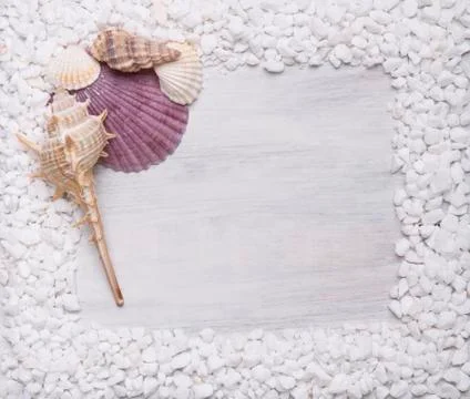 Frame from shells and marble. Stock Photos