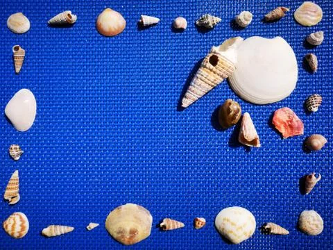 Frame of shells on a blue background. Stockfoto's