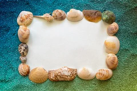 Frame of shells Fotos Stock