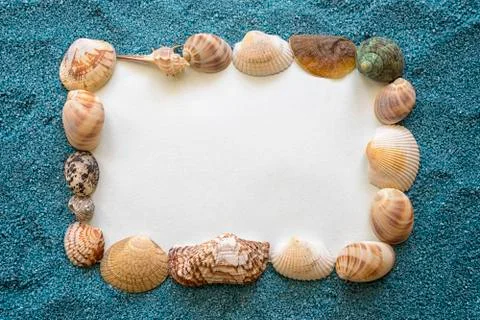 Frame of shells Stock Photos