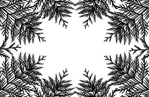 Frame from silhouette of branches of thuja tree, vector illustration Stock Illustration