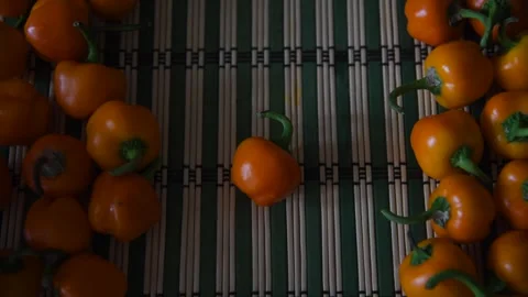 Frame from small orange peppers Stock Footage 259368315