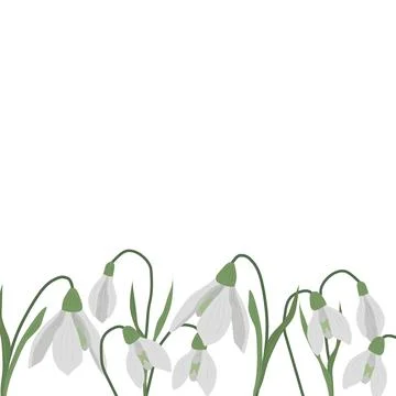 A frame of snowdrops for your design. Stock Illustration