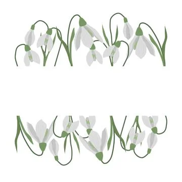 A frame of snowdrops for your design. Illustrazione stock