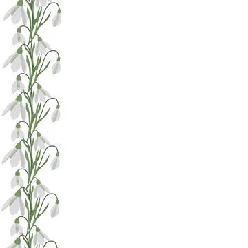 A frame of snowdrops for your design. Stock Illustration