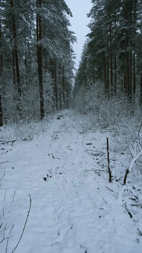 The frame is snowing Stock Footage 196834944