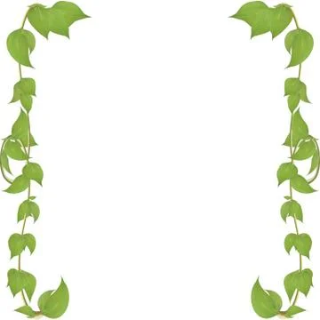 Frame of stems with leaves Vector eps10. Stock Illustration