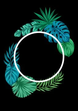 Frame with stylized palm leaves. Decorative image of tropical foliage and p.. Stock Illustration