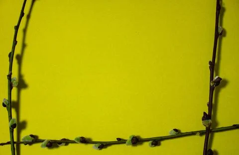 A frame for text from the branches of the Verb tree on a yellow background. Stock Photos