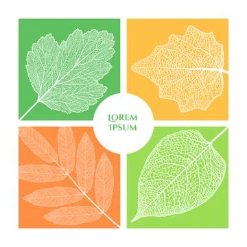 Frame for the title Illustrazione stock