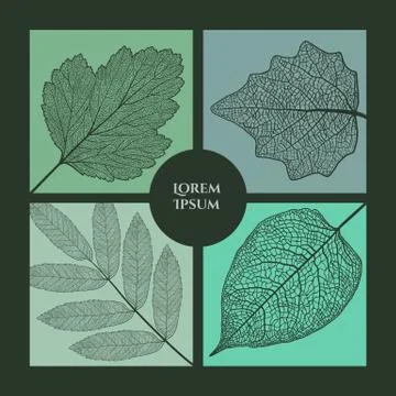 Frame for the title Stock Illustration