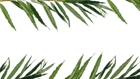 Frame of tree branches on the edges of the screen on a white background Stock Footage 93887962