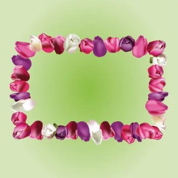 Frame with tulips Stock Illustration
