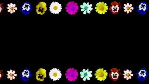 Frame from various colors on a black background. 库存影片 145247652