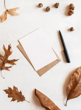 Frame from various fall leafs and acorns, envelope and postcard on white back Stock Photos