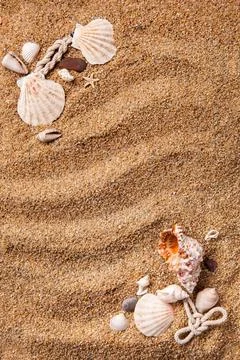 Frame from various shells on sand background of various shells on sand. To... Stock-Fotos
