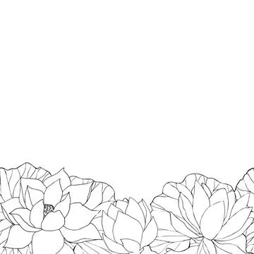 Frame with vector hand drawn lotus flowers and buds, leaves, black line art Stock Illustration