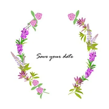 Frame from wild flowers Stock Illustration
