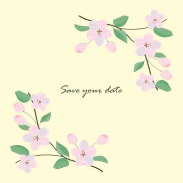 Frame from wild flowers Stock Illustration
