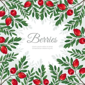 The frame of the winter berries Stock Illustration